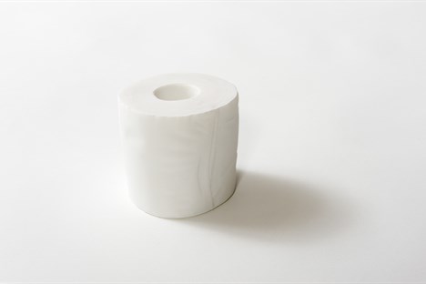 Toilet Roll (10x11x10cm)
