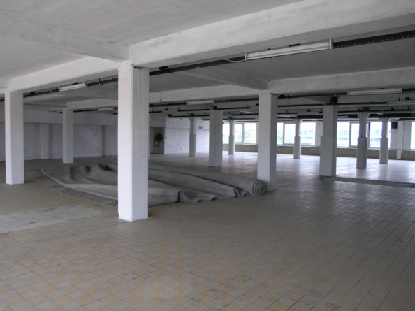 alkmaar1.jpg